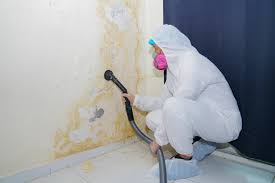 Best Mold Documentation for Insurance Claims  in Roanoke, AL